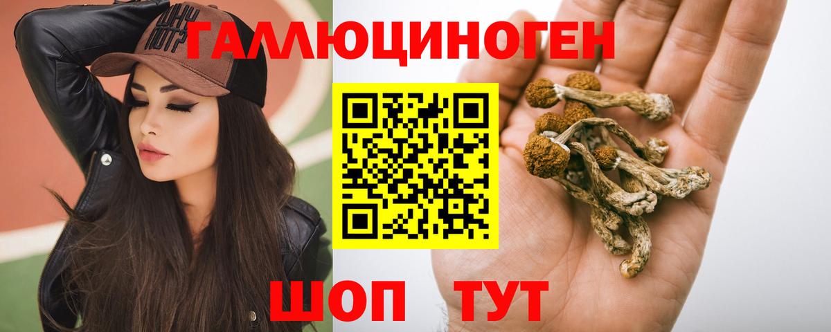 Кызыл  Псилоцибиновые грибы мухоморы  Вход с VPN  Галлюциногенные грибы Cubensis 